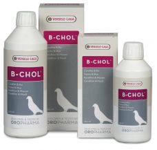 B-Chol 250 ml